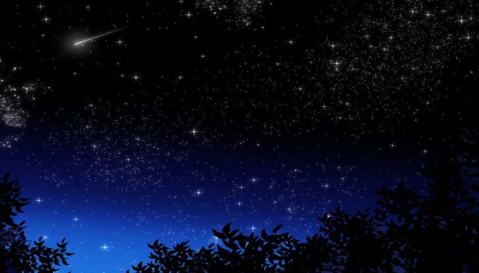 夜用(ナイトブラ)がある理由とは?